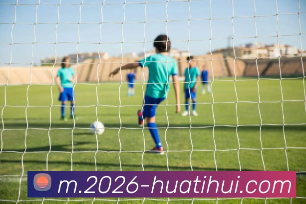 华体会体育平台生态图